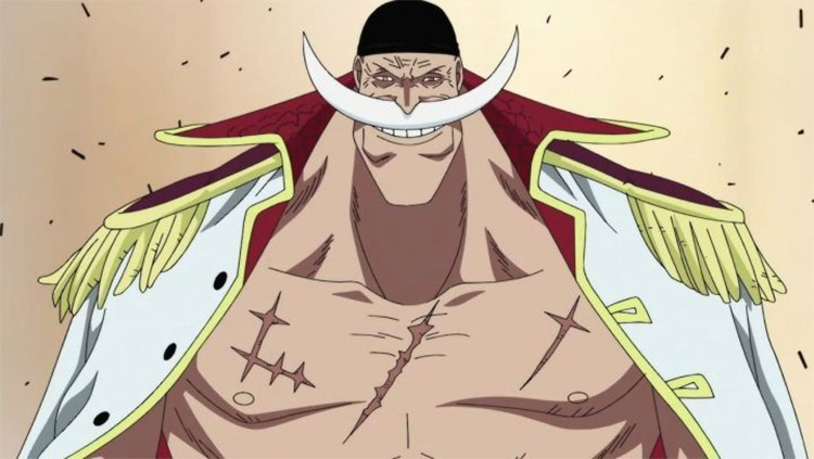 Edward Newgate dans l'anime One Piece