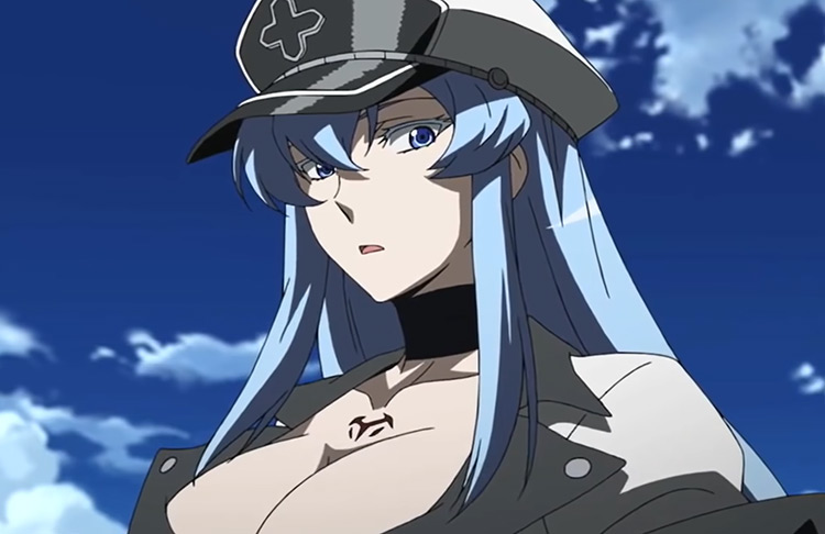 Fille d'Anime en tenue militaire - Esdeath